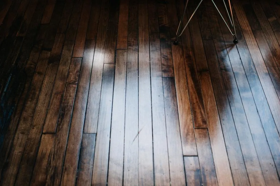 Polished dark hardwood floor in natural light